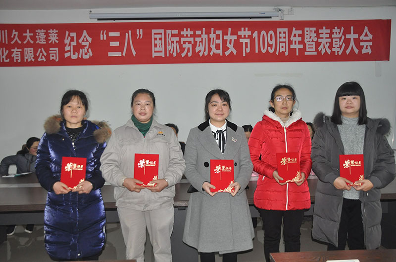 蓬萊公司召開(kāi)三八節(jié)紀(jì)念暨表彰大會(huì)